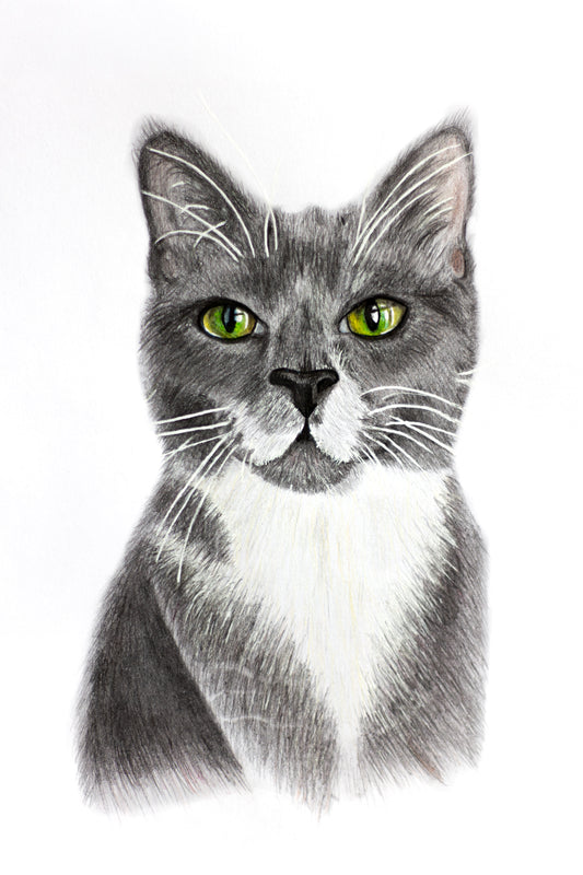Custom Pet Portrait | A4