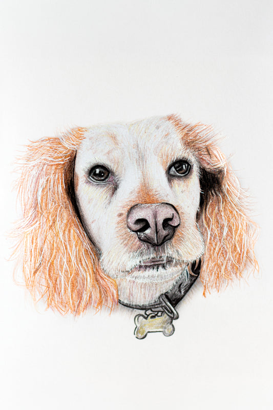 Custom Pet Portrait | A4 | Two Pets