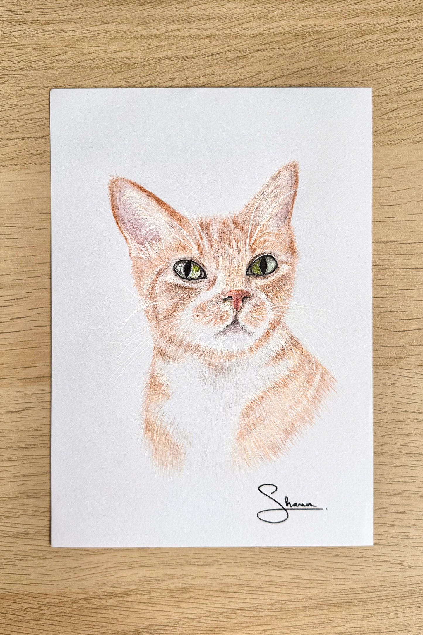 Custom Pet Portrait | A5