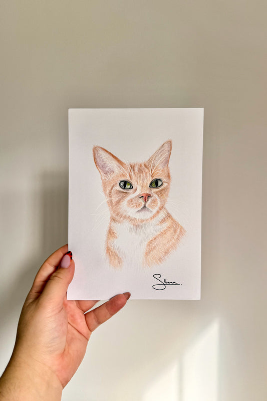 Custom Pet Portrait | A5